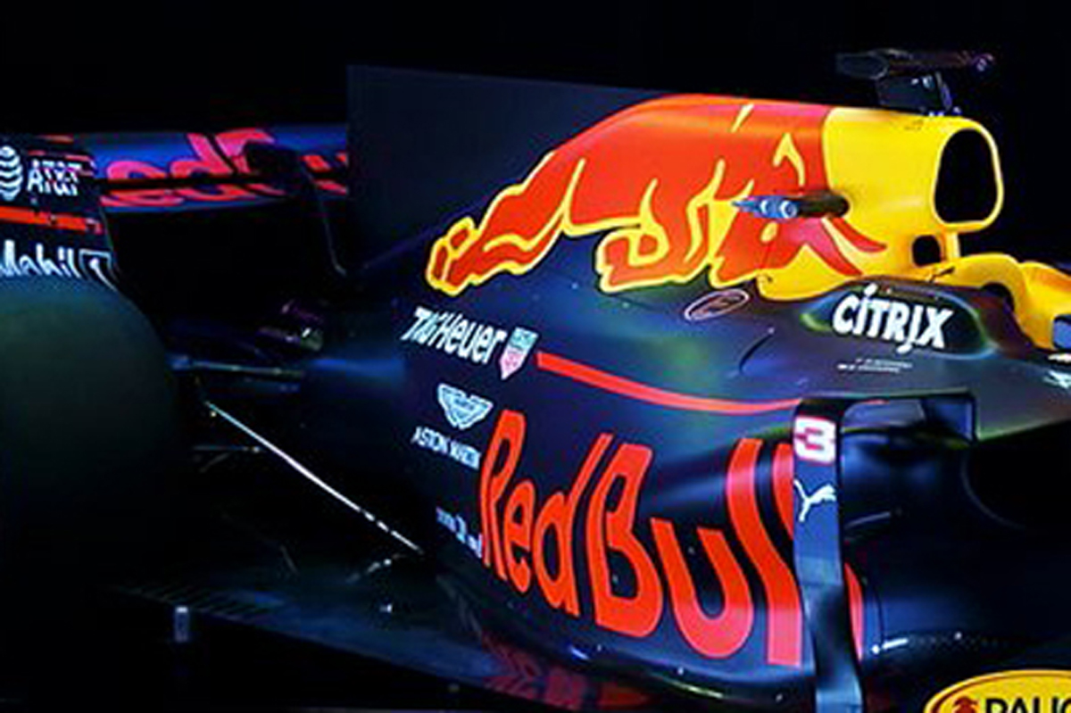 レッドブル RB13 シャクフィン