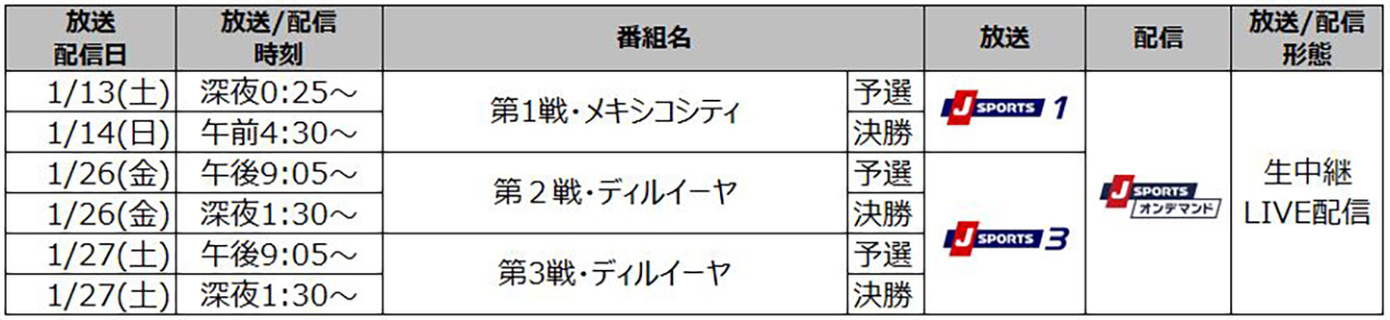 フォーミュラE　FIA フォーミュラE世界選手権2024