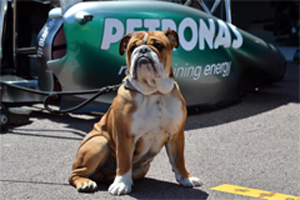ルイス・ハミルトンの愛犬同伴に苦言の声