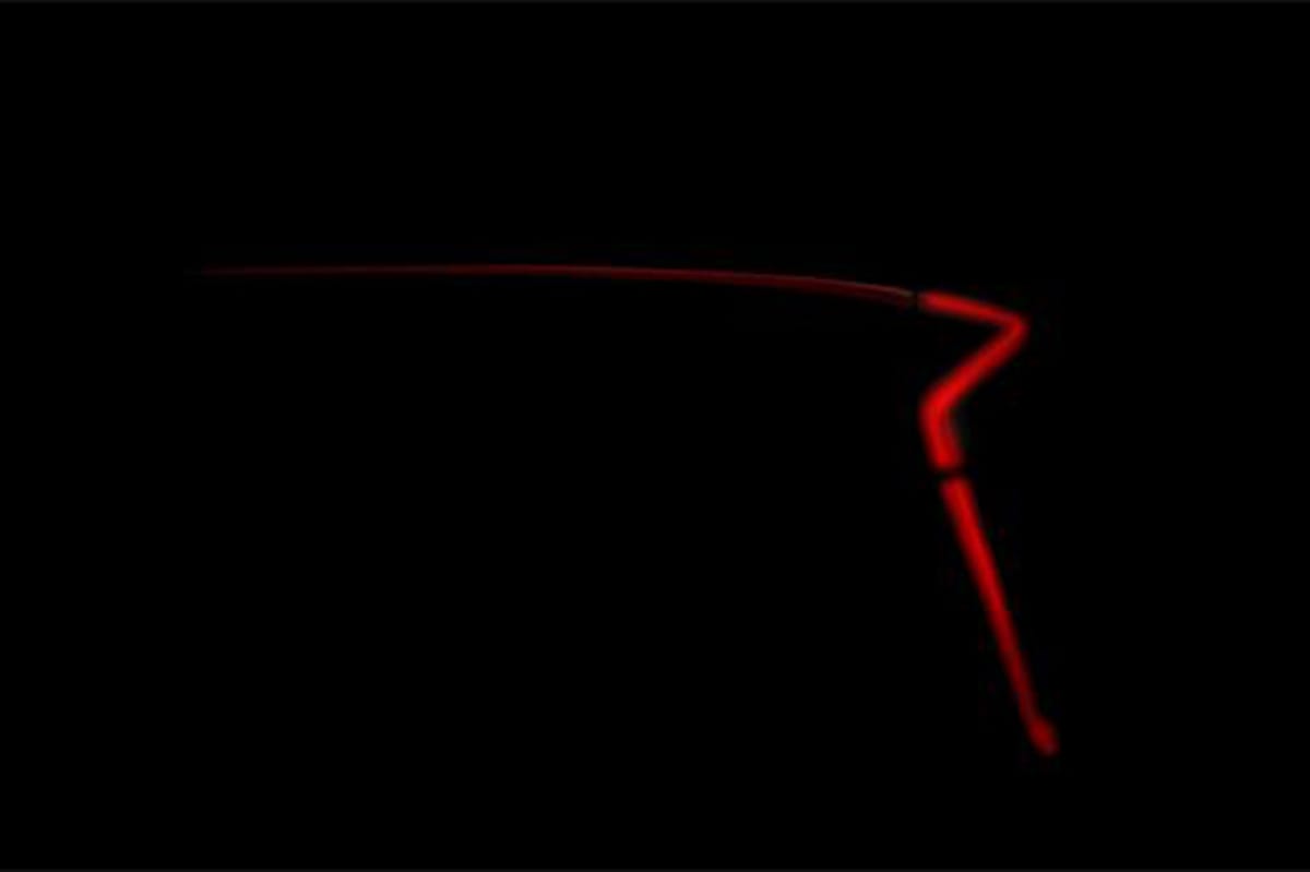 トヨタ、新型プリウスを9月8日に披露