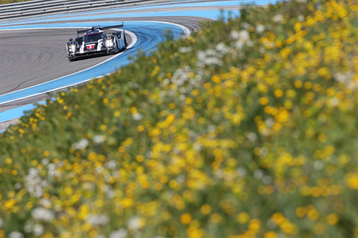 【WEC】 合同テストが法王のモンツァ訪問と重なり1週間延期