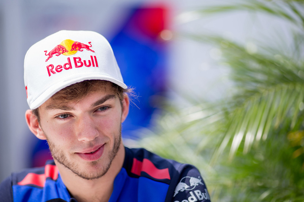 ピエール・ガスリー 「2019年のレッドブルの論理的な選択肢はサインツ」