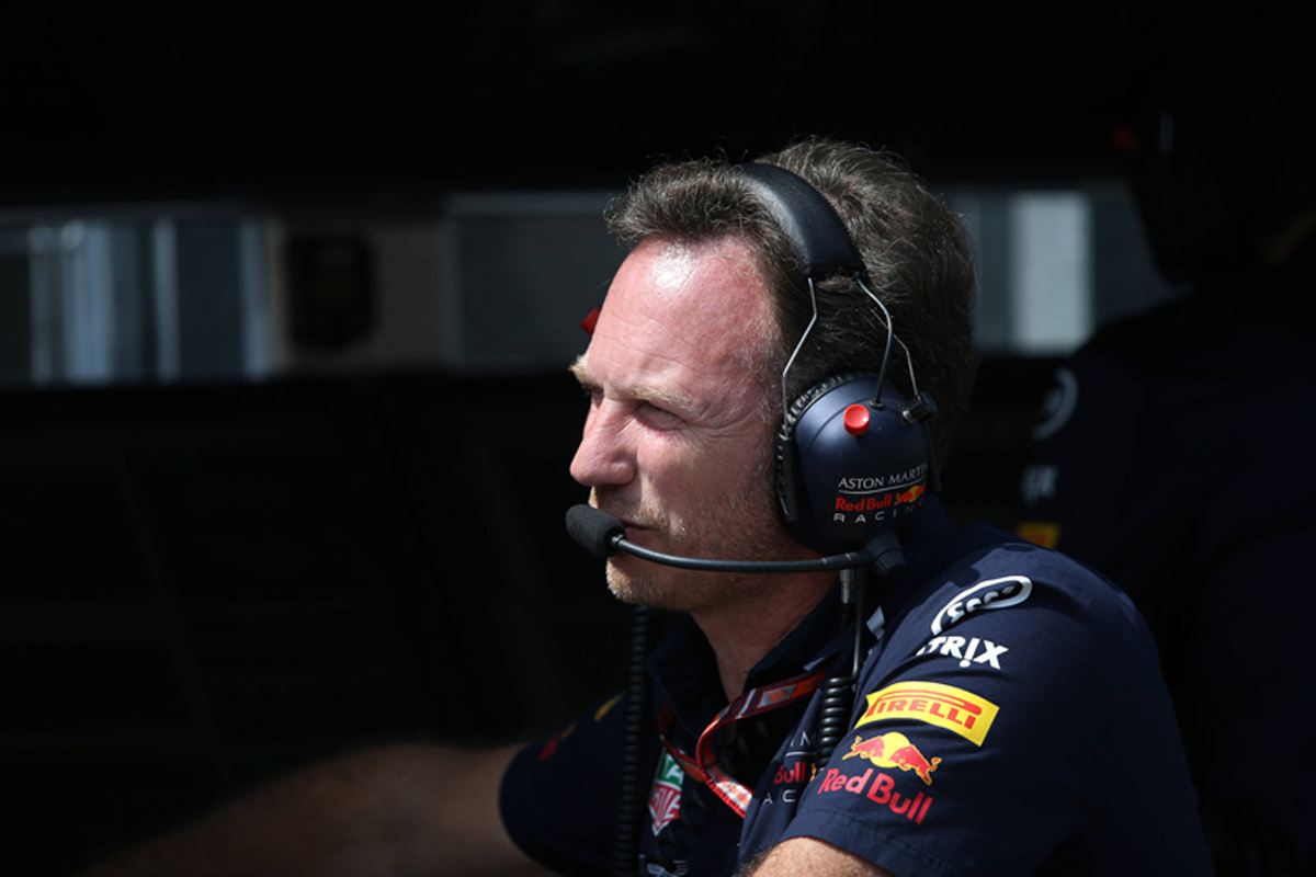 レッドブル 「ホンダF1との初年度にはそれほど大きな期待はしていない」