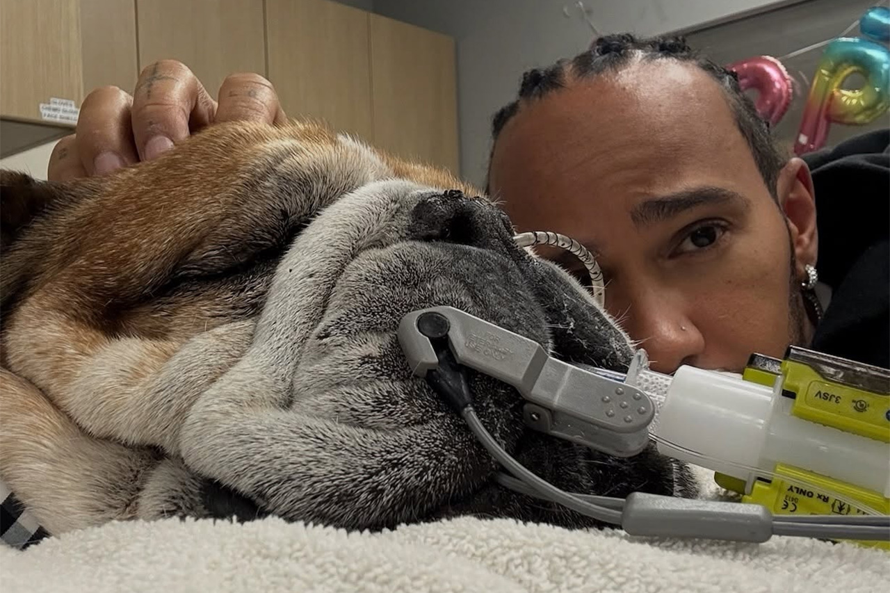 ルイス・ハミルトン 昏睡状態の愛犬ロスコーに付き添いピレリF1テストを欠席