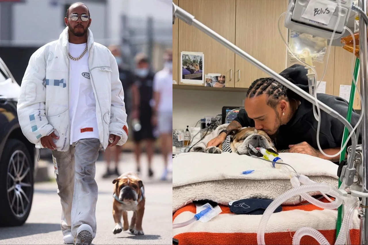 ルイス・ハミルトン 愛犬ロスコー昏睡状態に世話役「勝利を信じて祈りましょう」