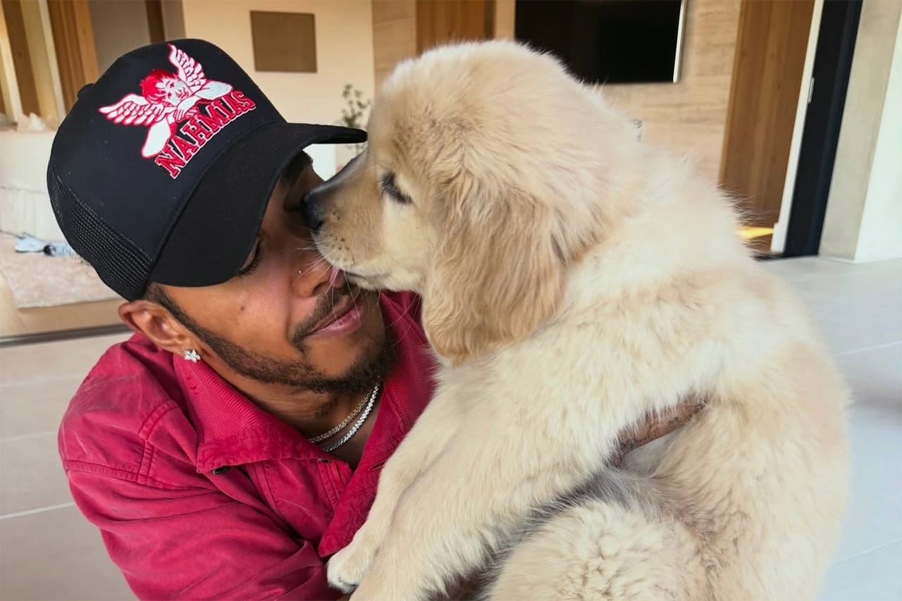 ルイス・ハミルトン 愛犬“ヘイロー”と夏休み満喫「休んで回復して充電」